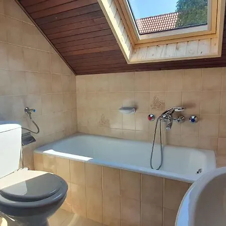 In - Balaton 43409 * 希欧福克